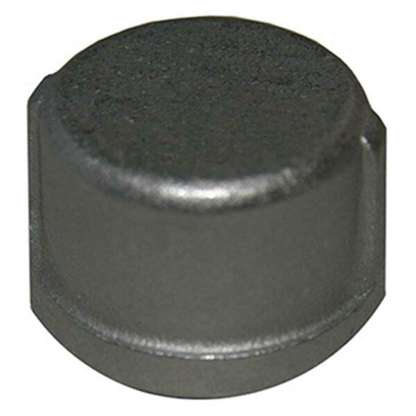 True Value 0.5 in. Stainless Steel Pipe Cap 209852